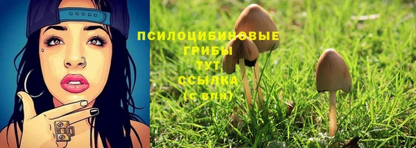 соль курить ск Карталы