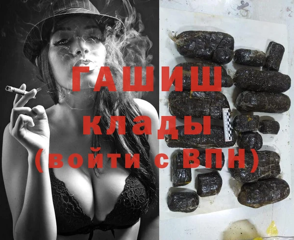 МДПВ Каменногорск